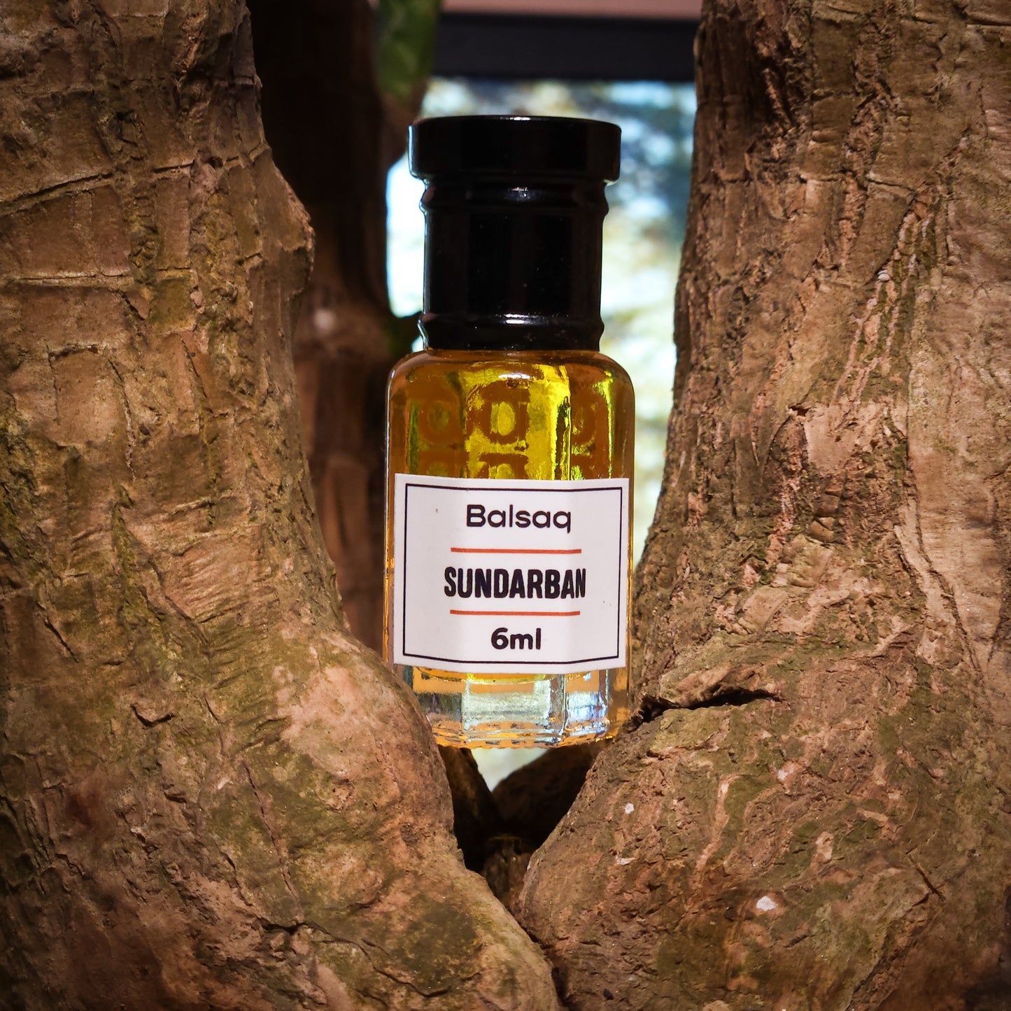 Sundarban - Attar | 3ml | 6ml | 12ml
