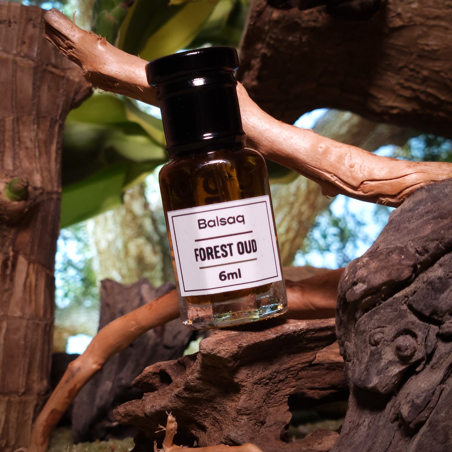 Forest Oud - Attar | 3ml | 6ml | 12ml
