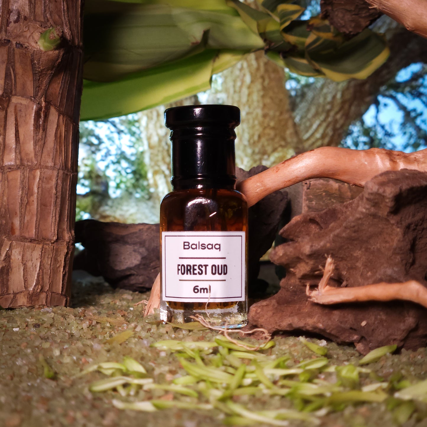 Forest Oud - Attar | 3ml | 6ml | 12ml